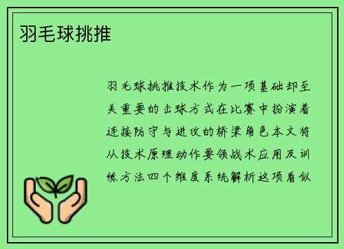 羽毛球挑推