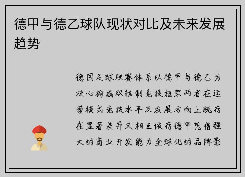 德甲与德乙球队现状对比及未来发展趋势
