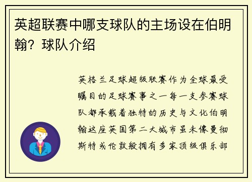 英超联赛中哪支球队的主场设在伯明翰？球队介绍